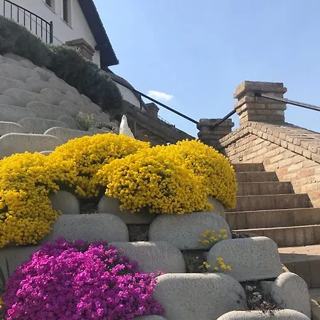 Pensjonat Vass-villa Vendeghaz 3*