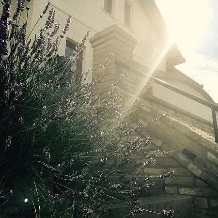 Vass-villa Vendeghaz