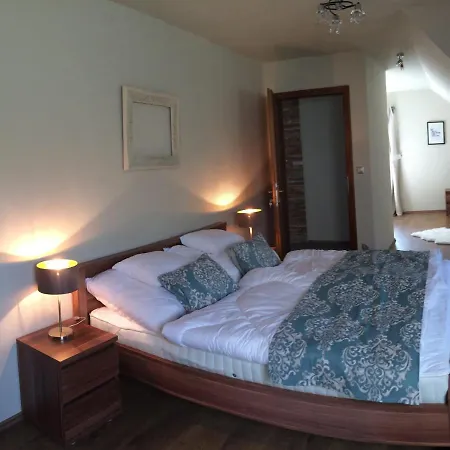 Vass-villa Vendeghaz Guest house