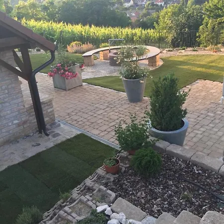 Vass-villa Vendeghaz 3*