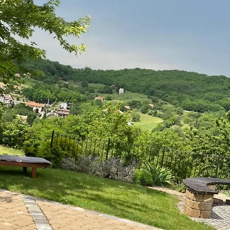 Vass-villa Vendeghaz Guest house 3*