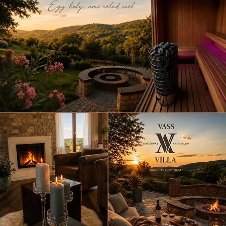 Vass-villa Vendeghaz Guest house Szekszard