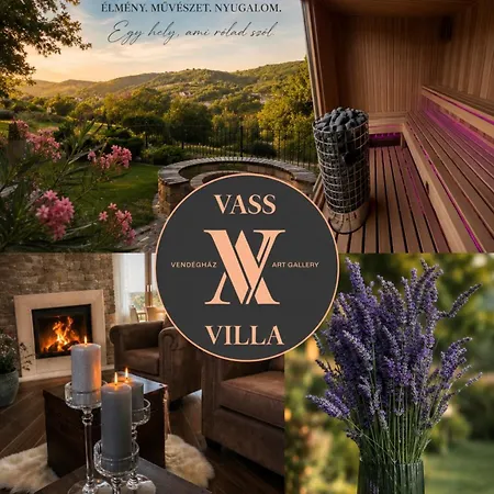 Vass-villa Vendeghaz