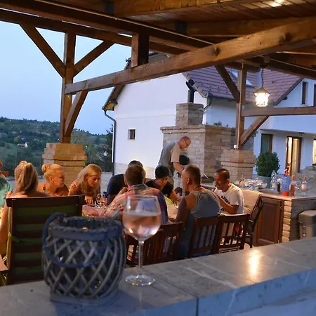 Vass-villa Vendeghaz Guest house 3*