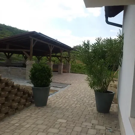 Vass-villa Vendeghaz Gasthof