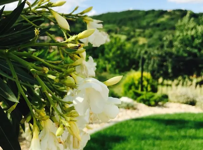 Penzion Vass-villa Vendeghaz 3*