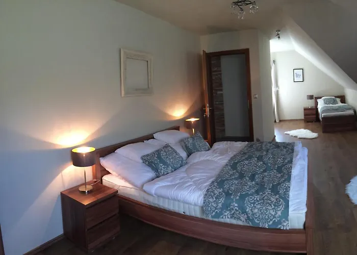 Vass-villa Vendeghaz Penzion