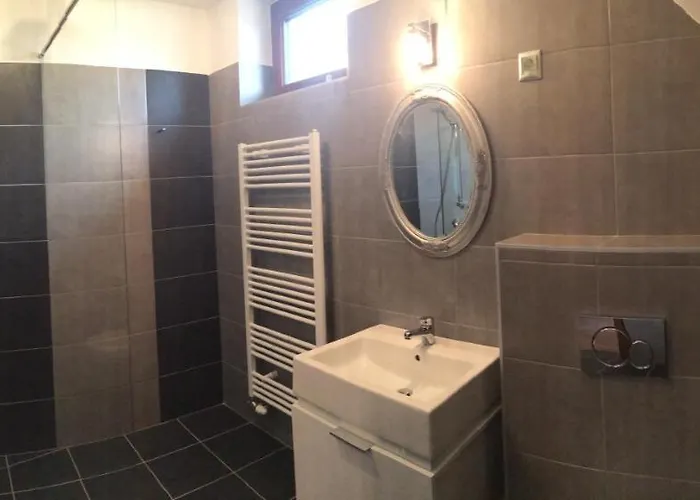 Guest house Vass-villa Vendeghaz 3*