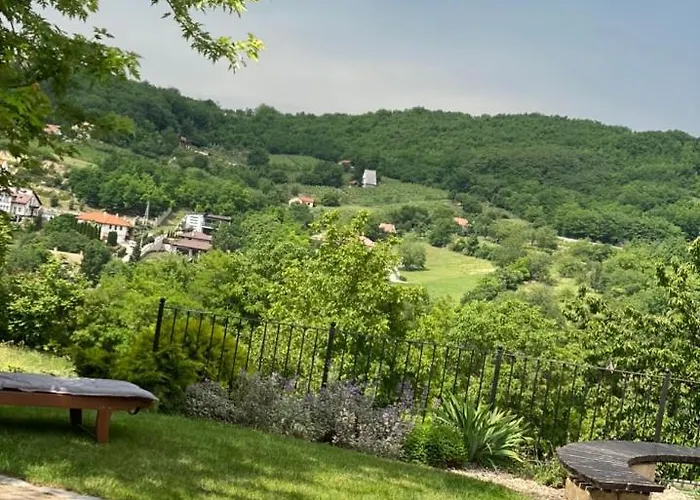 Vass-villa Vendeghaz Guest house 3*