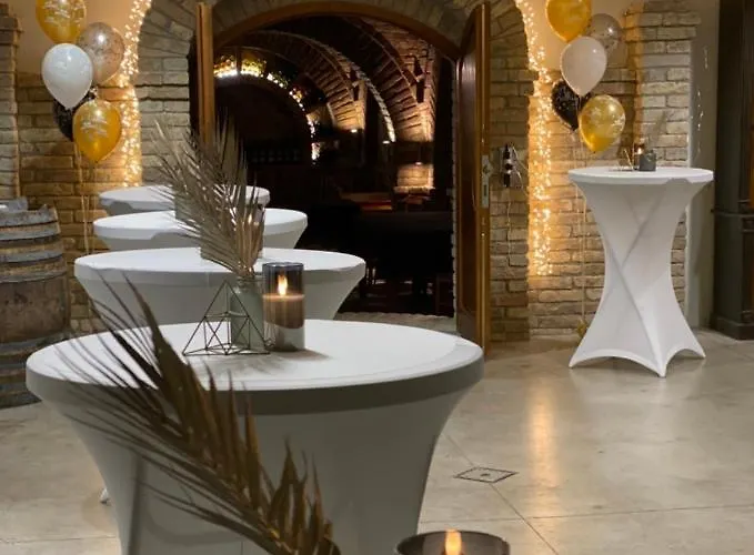 Vass-villa Vendeghaz Guest house 3*