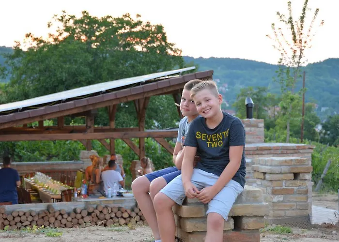 Vass-villa Vendeghaz Penzion Szekszárd