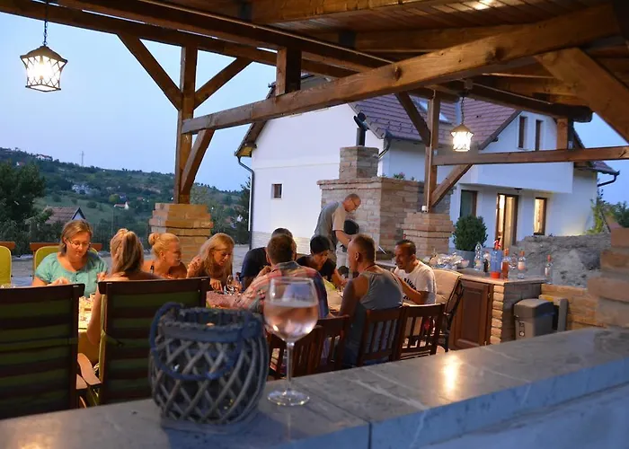 Vass-villa Vendeghaz Guest house 3*