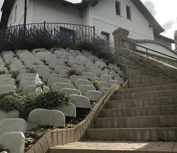 Guest house Vass-villa Vendeghaz